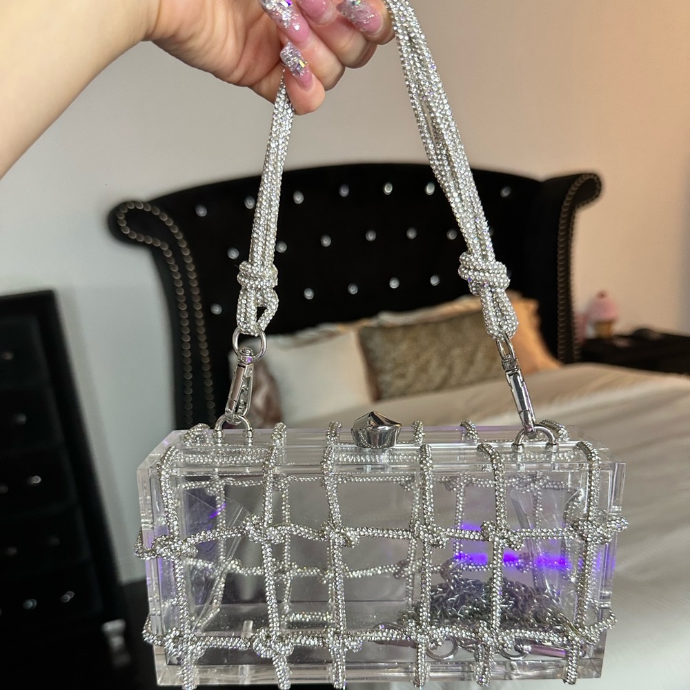 Silver and Clear Designer Clutch